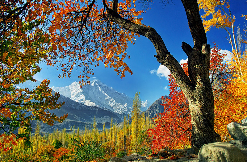 10 Days Hunza & Ghizer Autumn Colors Tour (2026/2027)
