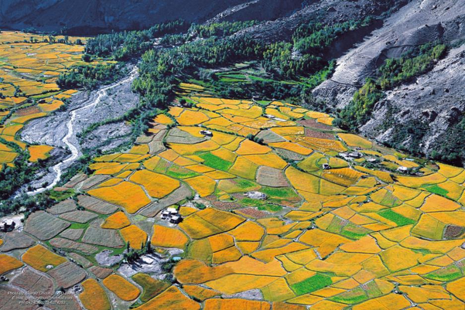 Shigar Valley Honeymoon Tour