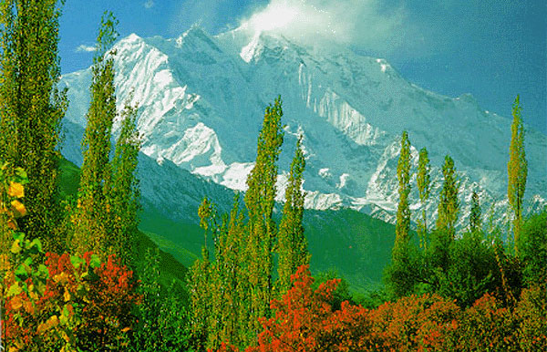 Rakaposhi Base Camp  Trek