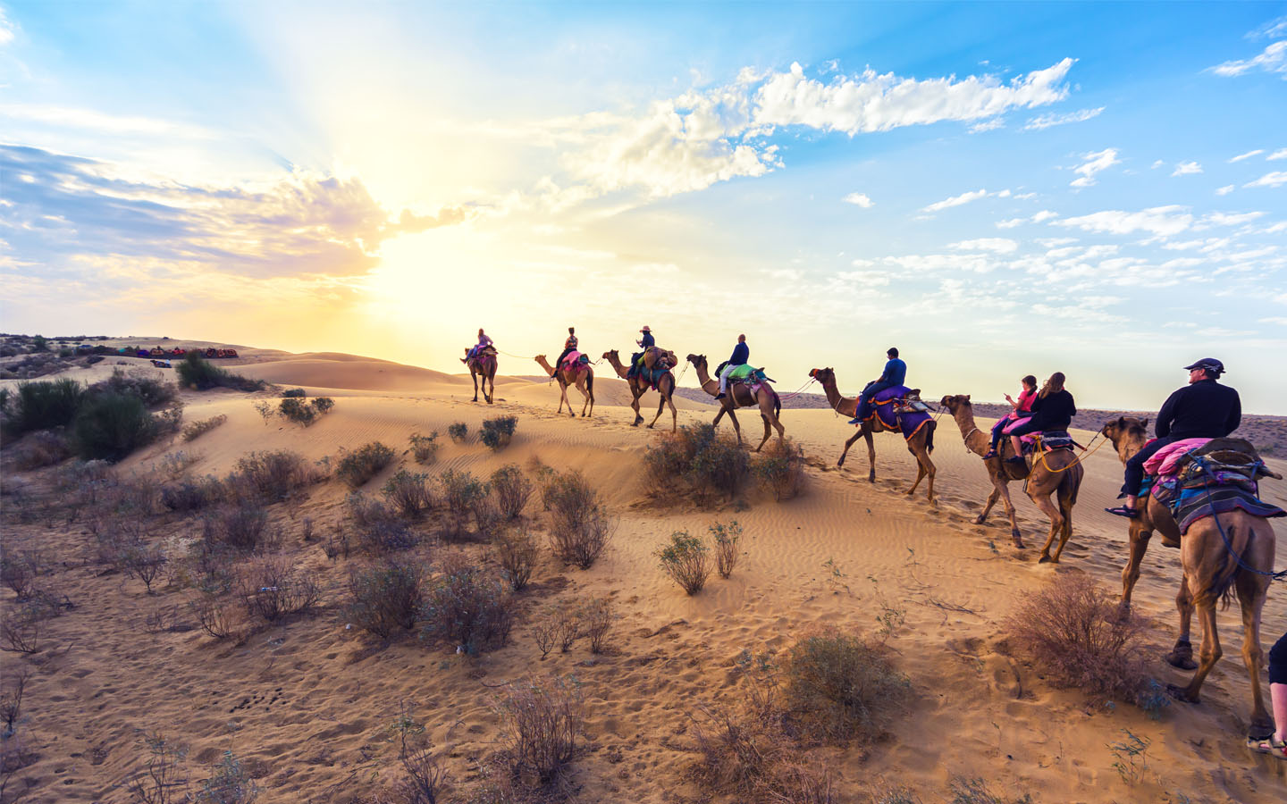 Cholistan Desert Camel Safari