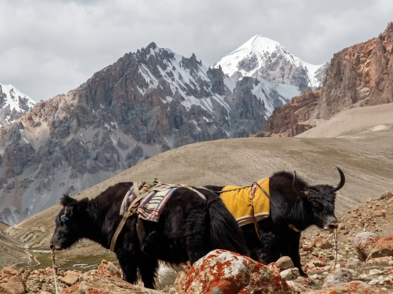 yak batura passu